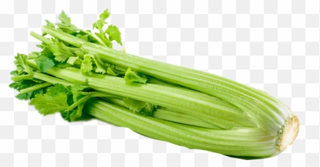 Celery - Celery Png Emoji,Celery Emoji