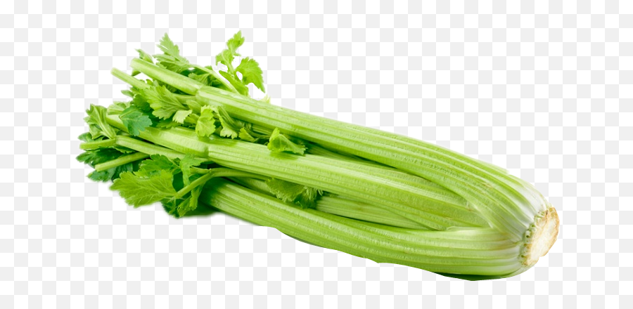 Celery - Celery Png Emoji,Celery Emoji