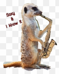 Saxophone Sticker Jazz Meerkat - Saxophone Funny Emoji,Meerkat Emoji