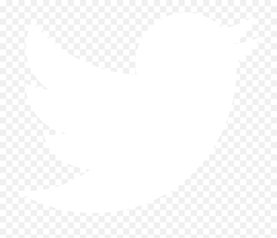 Notes From Css Dev Conf 2016 - Twitter Logo Png White Emoji,X_x Emoji