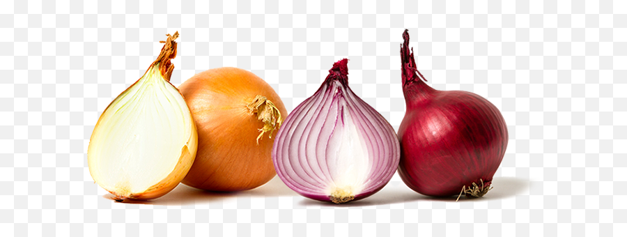 Drawing Vegetables Onion Transparent - Red And White Onion Png Emoji,Onion Emoji