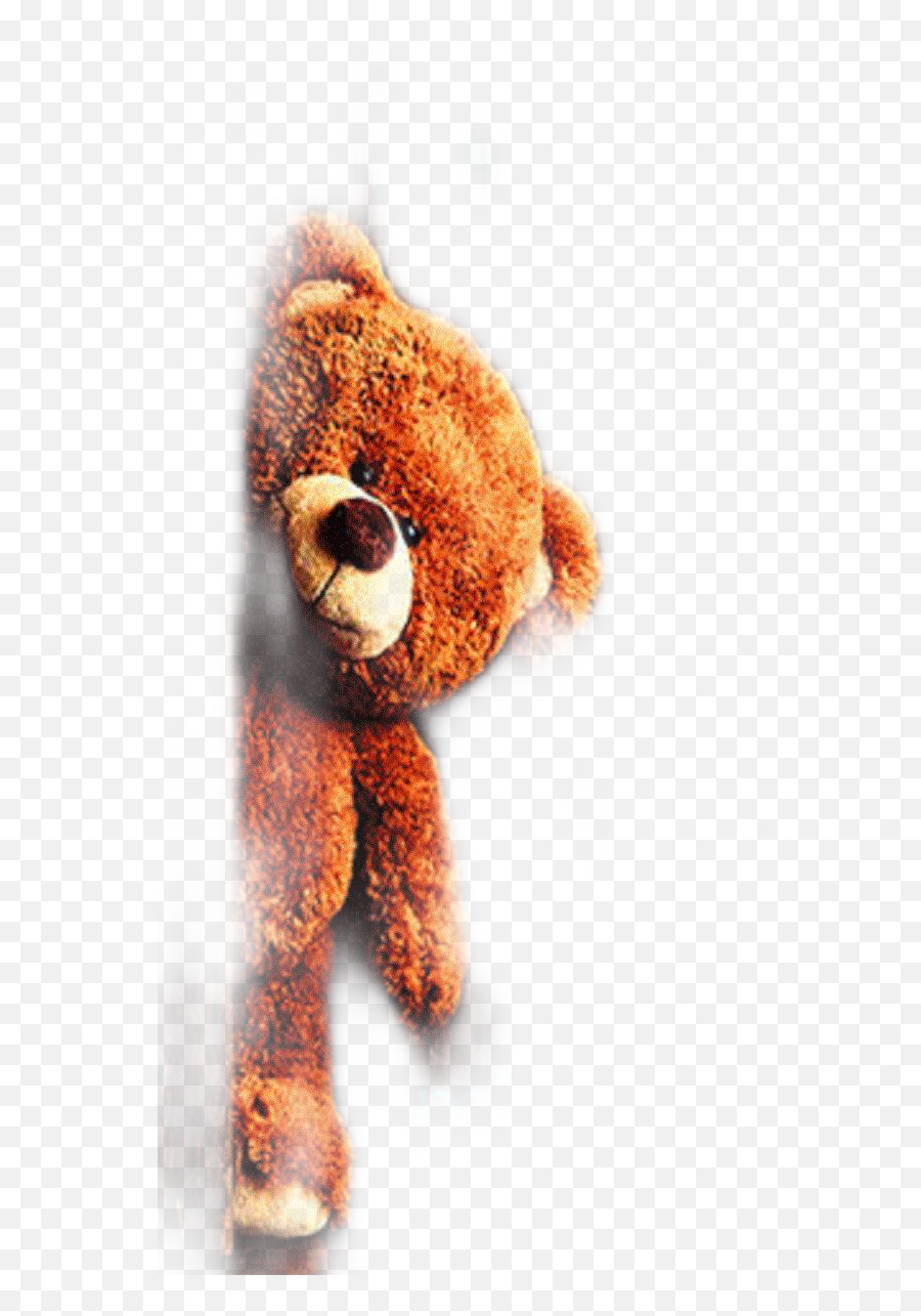 Peeking Bear Teddybear - Sticker By Kimmy Bird Tasset Teddy Bear Emoji,Peeking Emoji