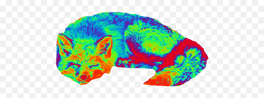 Top Theo Wolf Stickers For Android U0026 Ios Gfycat - Trippy Rainbow Frog Gif Emoji,Growl Emoji