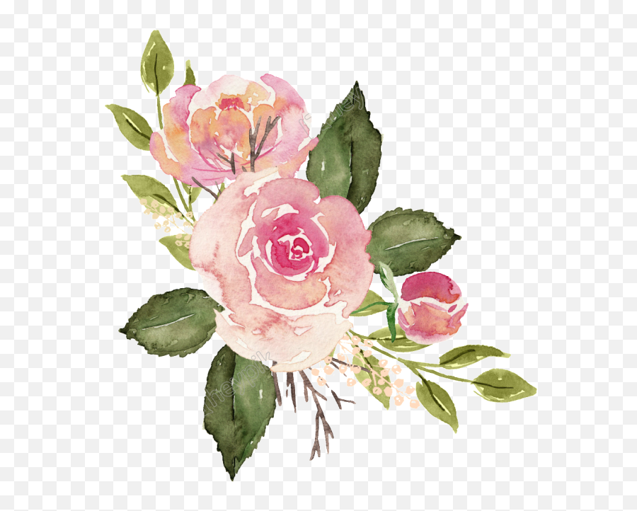 Avatan Plus - Pink Flower Watercolor Png Emoji,Flower Emoji Tumblr