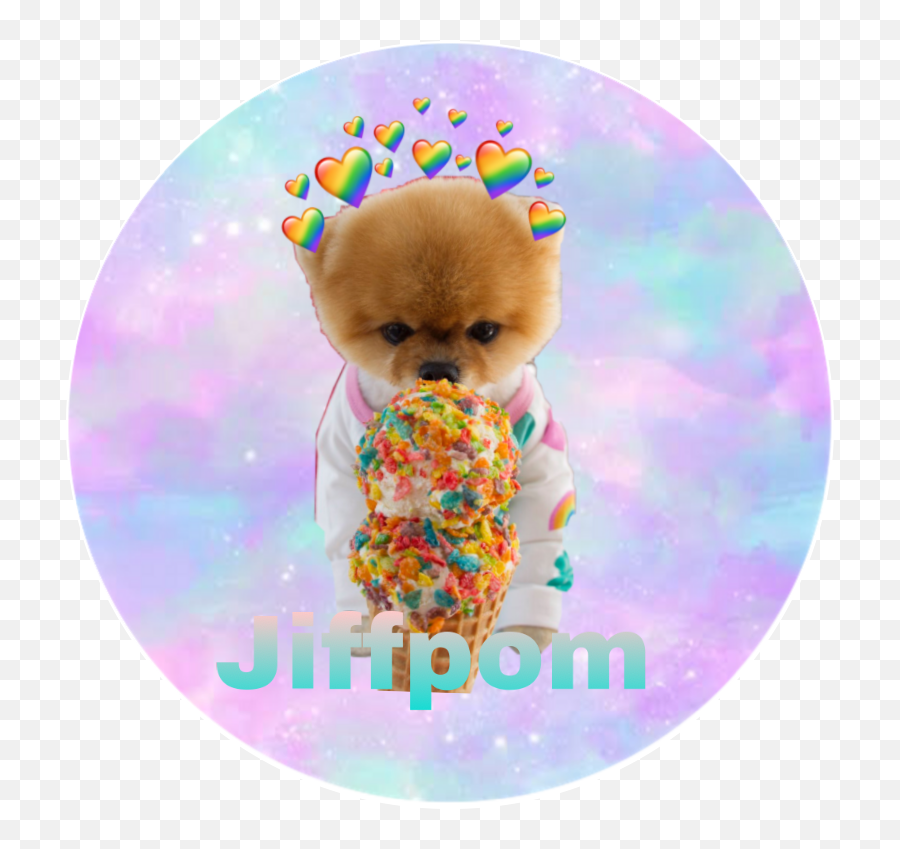 Jiffpom Dog Coute Tumblr - Jiffpom With Ice Cream Emoji,Jiffpom Emoji