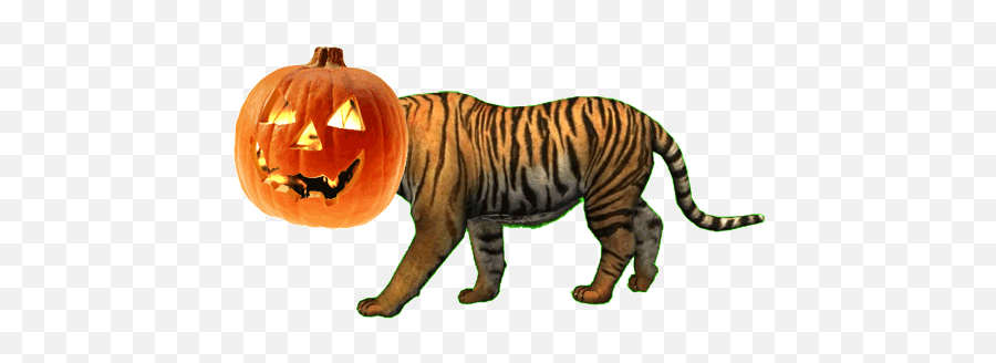 Top Tiger Woods Stinger Stickers For Android Ios - Halloween Emoji,Tiger Emoji