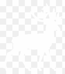 White Deer Icon - Png Emoji