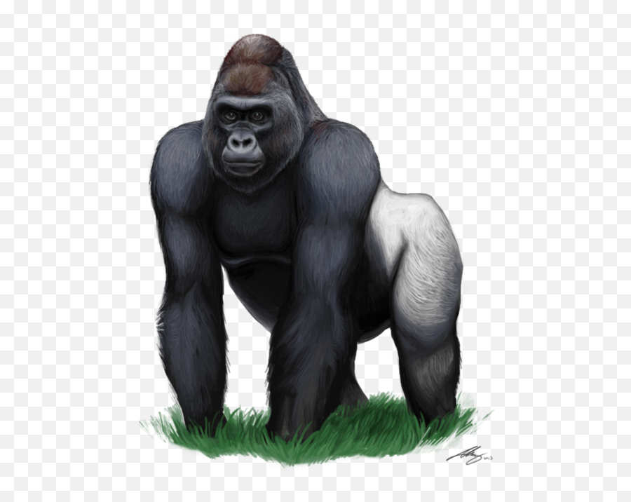 Free Gorilla Cartoon Png Download Free Clip Art Free Clip - Gorilla Png Clipart Emoji,Gorilla Emoji