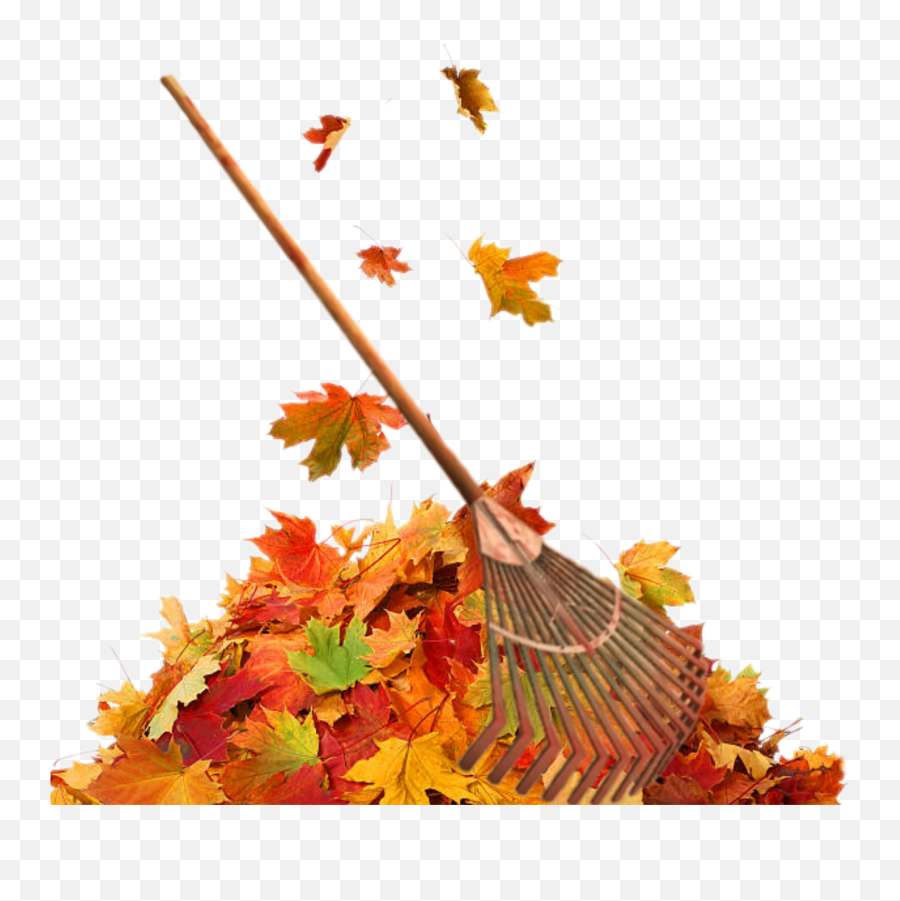 Fall Autumn Leafs Rake - Tas De Feuilles D Automne Emoji,Rake Emoji