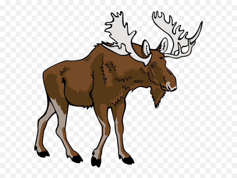 Moose Clip Art Vector Moose 6 Graphics Image 2 - Moose Clipart Emoji,Moose Emoji