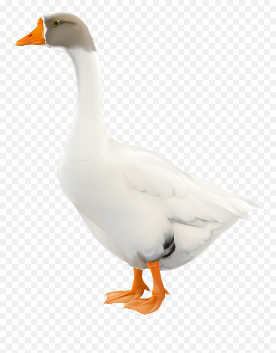 Clipart Duck Goose Clipart Duck Goose Transparent Free For Emoji,Goose Emoji