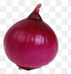 Red Onion Food Vegetable - Red Onion Transparent Background Emoji,Onion Emoji