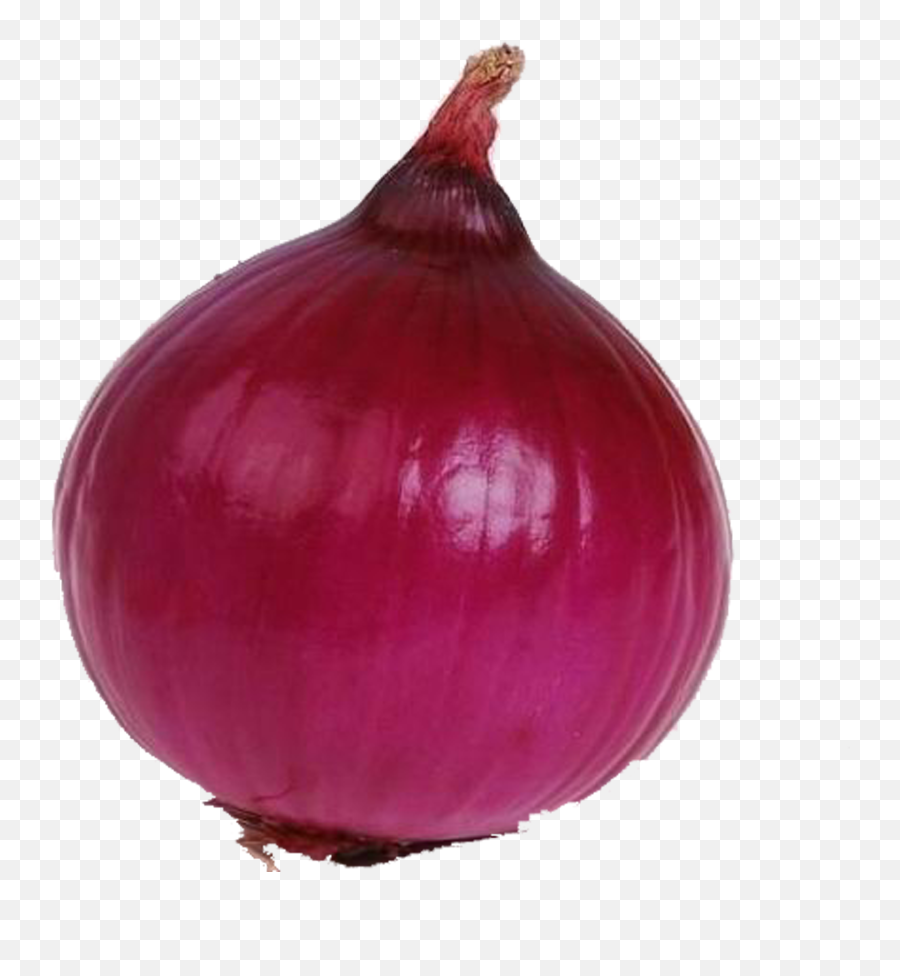 Red Onion Food Vegetable - Red Onion Transparent Background Emoji,Onion Emoji