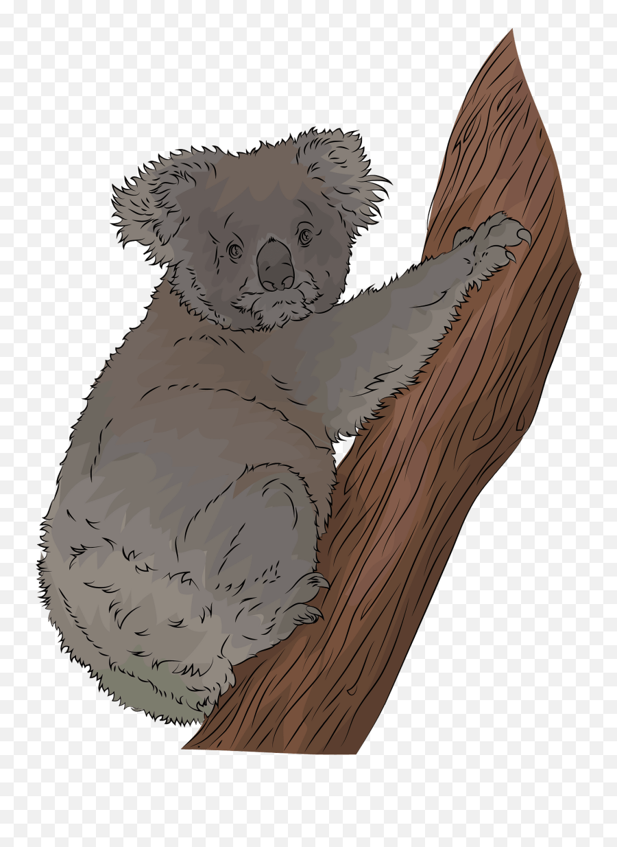 Koala Clipart - Soft Emoji,Koala Bear Emoji