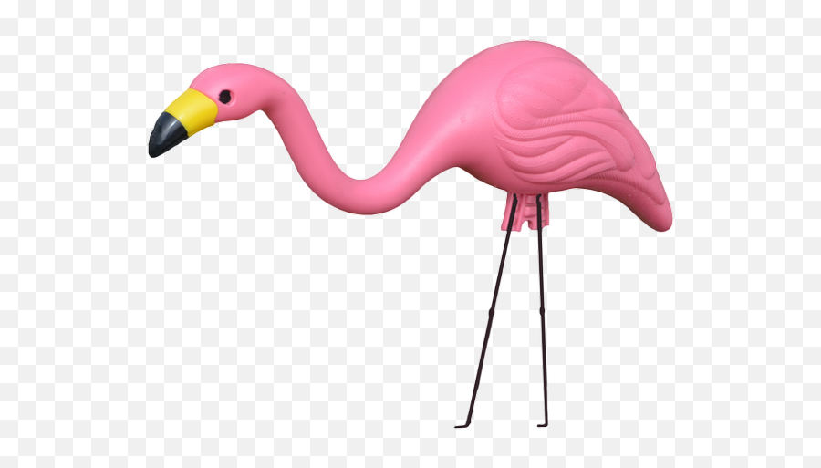 Plastic Pink Flamingo Psd File - Plastic Flamingo No Background Emoji,Flamingo Emoji