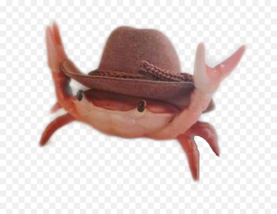 Crab California Summer Meme Memes Dank Crabs Yeehaw Cow - Crab With Cowboy Hat Emoji,Crab Emoji