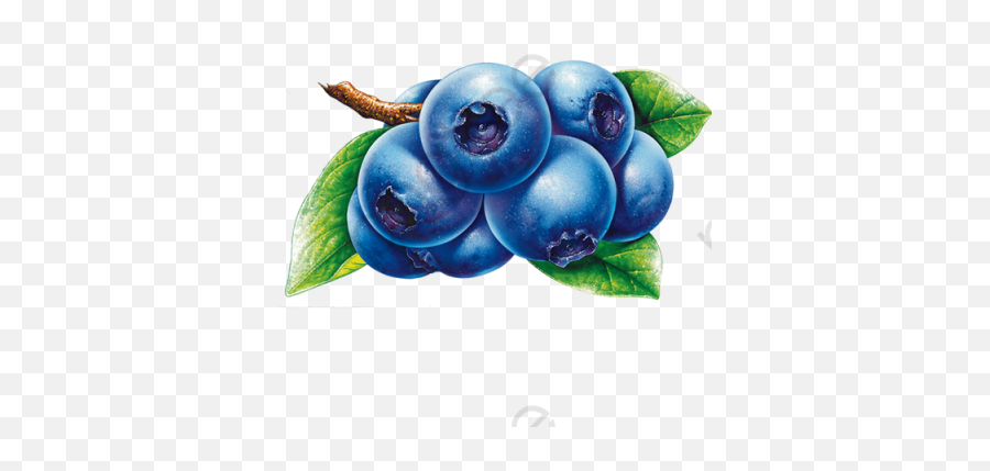 Free Png Images - Clipart Blueberry Emoji,Blueberry Emoji