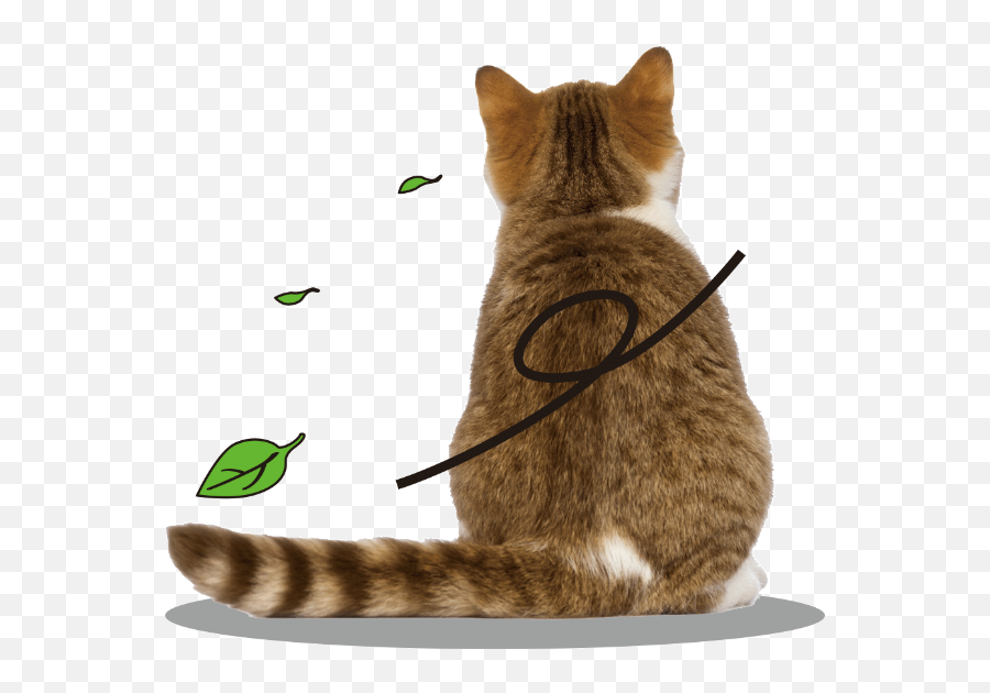Free Online Emoticons Kitty Kitten Cat Vector For Emoji,Kitten Emoticons