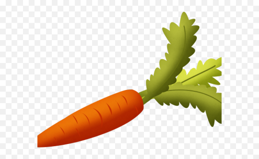 Clipart Of The Day - Vegetables Clipart Transparent Png Transparent Carrot Png Clipart Emoji,Emoji Vegetables