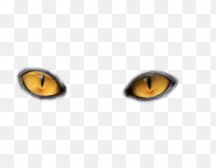 Eye Eyes Eyeball Eyeballs - Cat Eyes No Background Emoji,Eyeballs Emoji