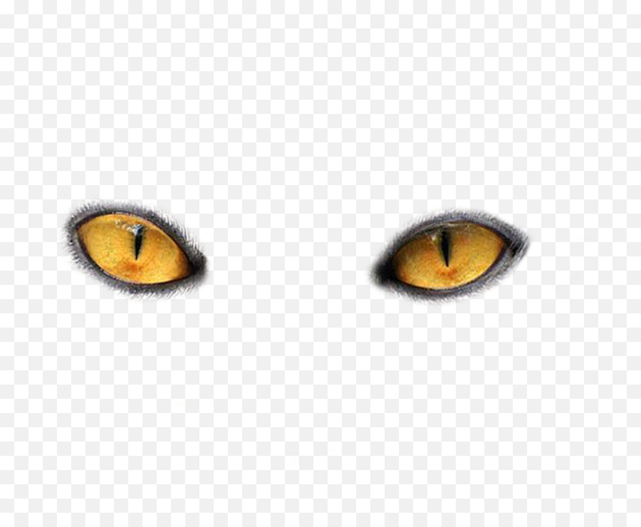 Eye Eyes Eyeball Eyeballs - Cat Eyes No Background Emoji,Eyeballs Emoji