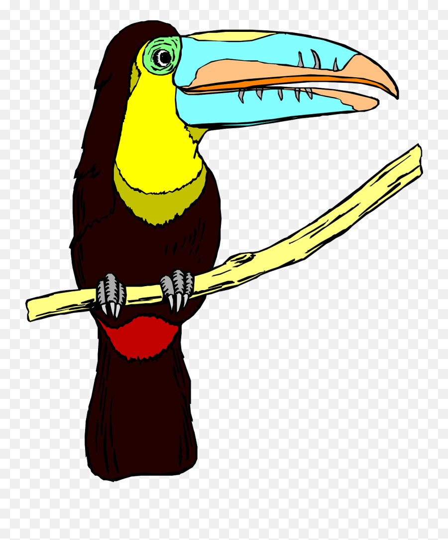 Toucan Bird Wildlife Big Beak - Toucan Png Emoji,Emoji With Star Eyes