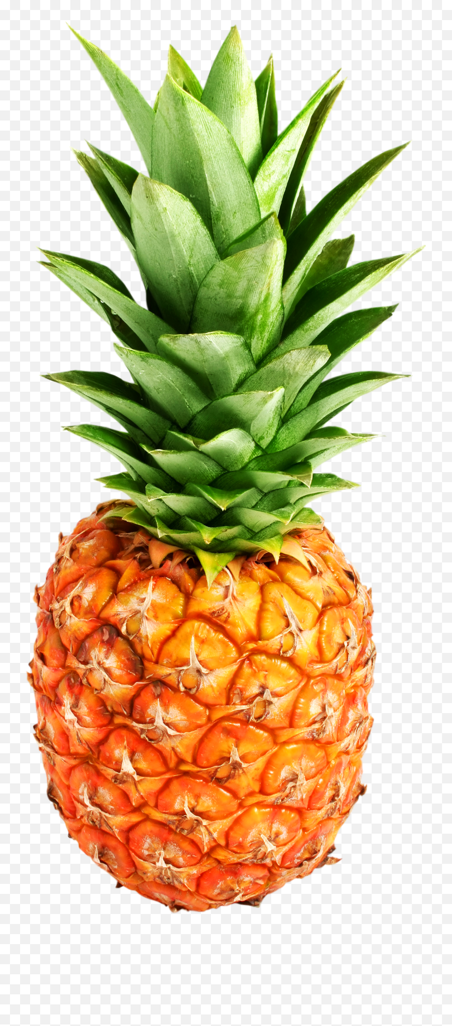 Pineapple Png Images - Transparent Pineapple Png Free Emoji,Pineapple Emoji
