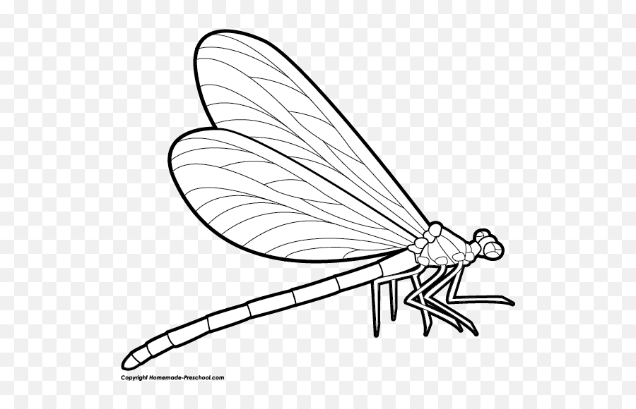 Free Dragonfly Clipart 3 - Dragonfly Clipart Black And White Emoji,Dragonfly Emoji