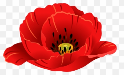 Transparent Clipart Poppy - Single Poppy Transparent Background Emoji,Poppy Emoji