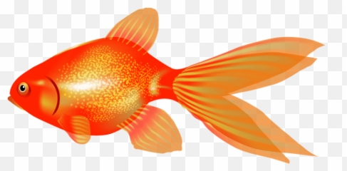 Free Png Download Goldfish Png Images - Goldfish Emoji,Goldfish Emoji