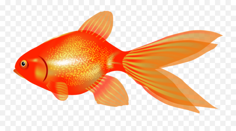 Free Png Download Goldfish Png Images - Goldfish Emoji,Goldfish Emoji