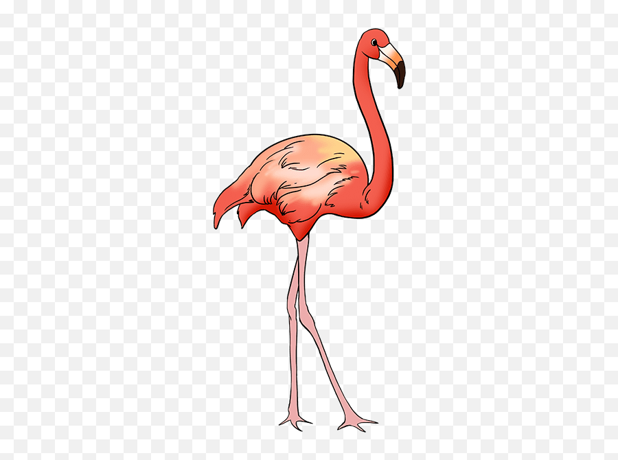 How To Draw A Flamingo - Draw Flamingo Emoji,Flamingo Emoji