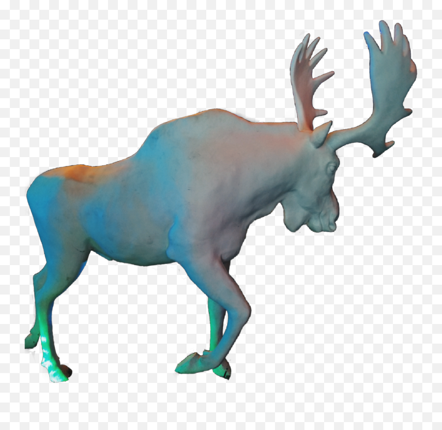 Moose Sticker Antlers Horns Animal - Clipart Moose Shadow Emoji,Moose Emoji
