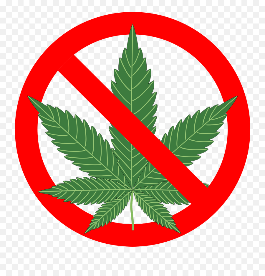Cannabis Hemp Leaf Marijuana Plant - No Cannabis Png Emoji,Emoji Smoking Weed
