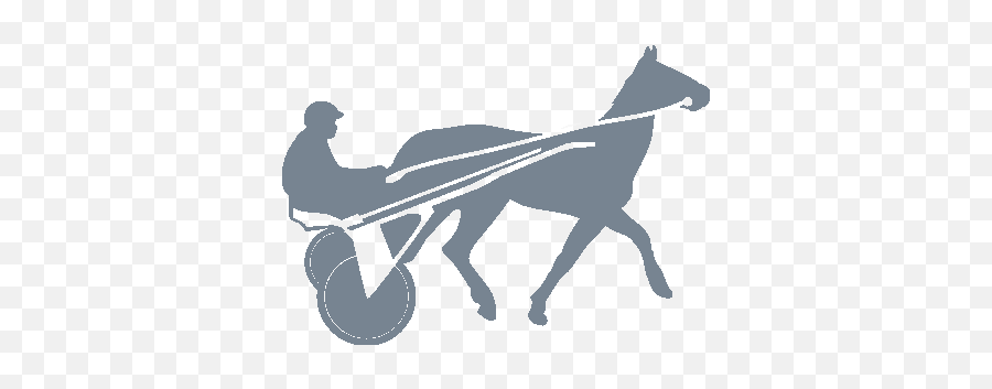 Horse Racing - Galopp Lovas Minták Pólóra Emoji,Emoji Man Plus Horse