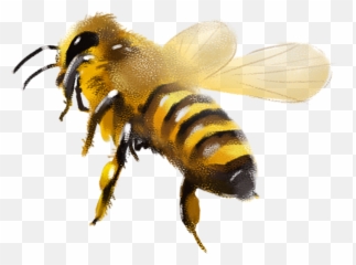 Honey Bee Stickers - Painting Png Emoji