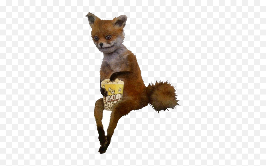 Fox Gif Transparent - 15 Free Hq Online Puzzle Games On Fox Eating Popcorn Gif Emoji,Emoji Eating Popcorn