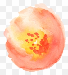 Clip Art - Orange Flower Transparent Painting Emoji,Peaches Emoji