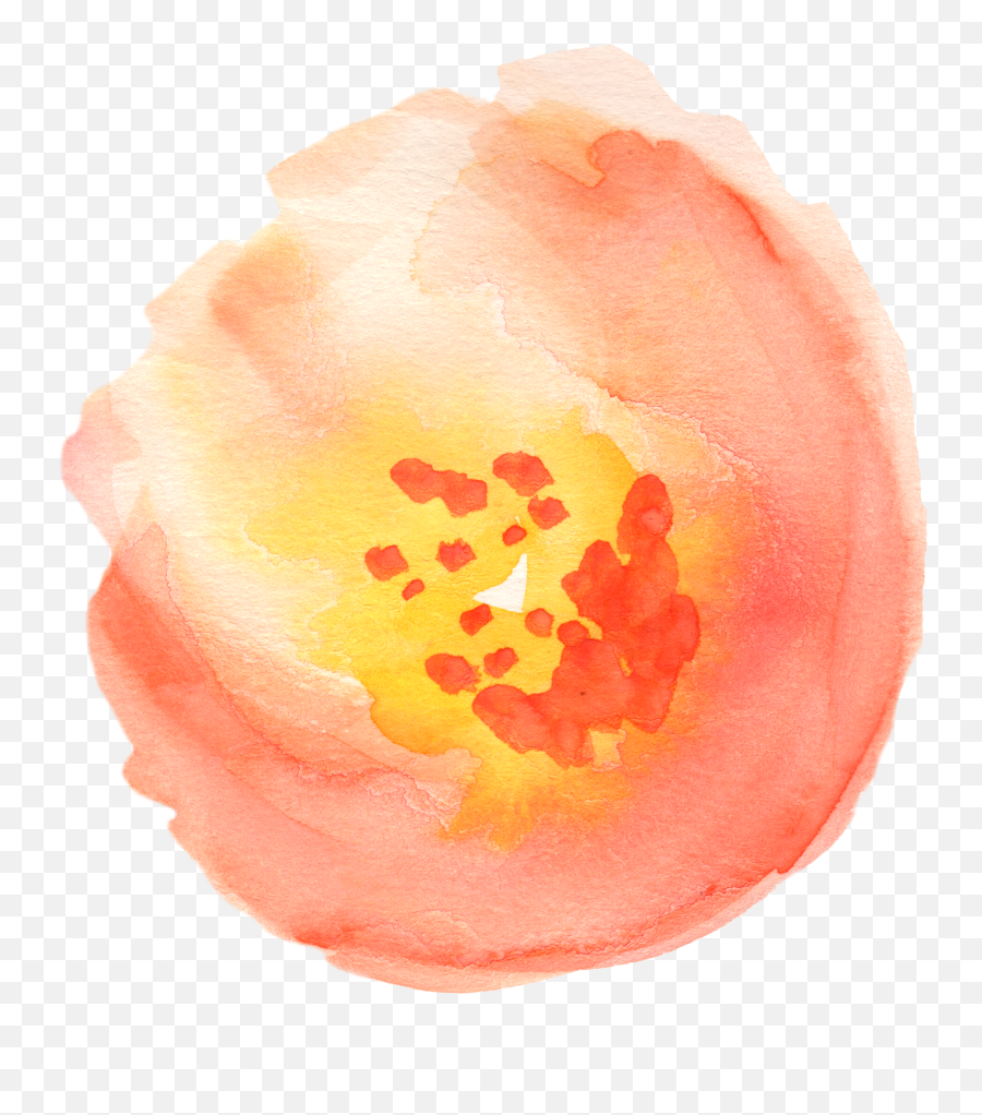 Clip Art - Orange Flower Transparent Painting Emoji,Peaches Emoji