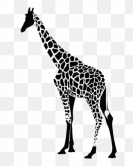 Black Giraffe Dancing Adventure Raffle - Giraffe On Black Background Emoji,Giraffeemoji.com