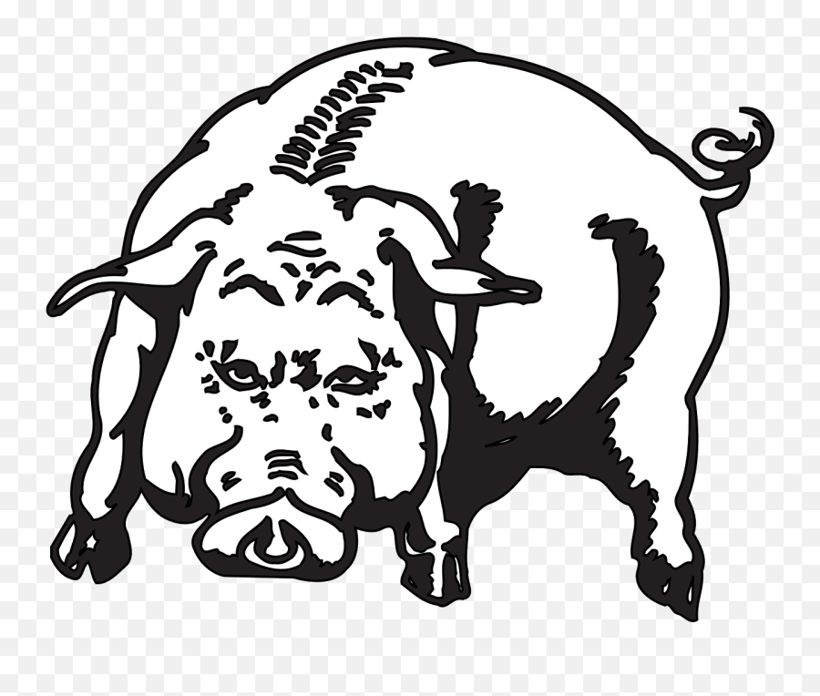 Angry Pig Animal Hog Piggy - Angry Pig Clipart Black And White Emoji,Lady And Pig Emoji
