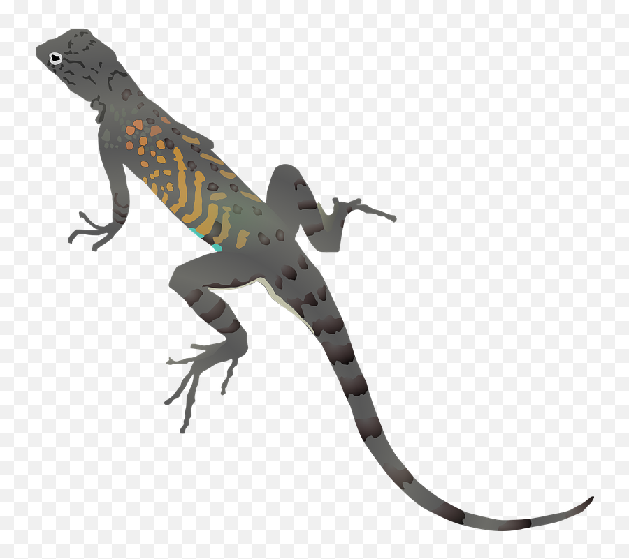 Lizard Gecko Dragon - Lizard Clipart Emoji,Bearded Dragon Emoji