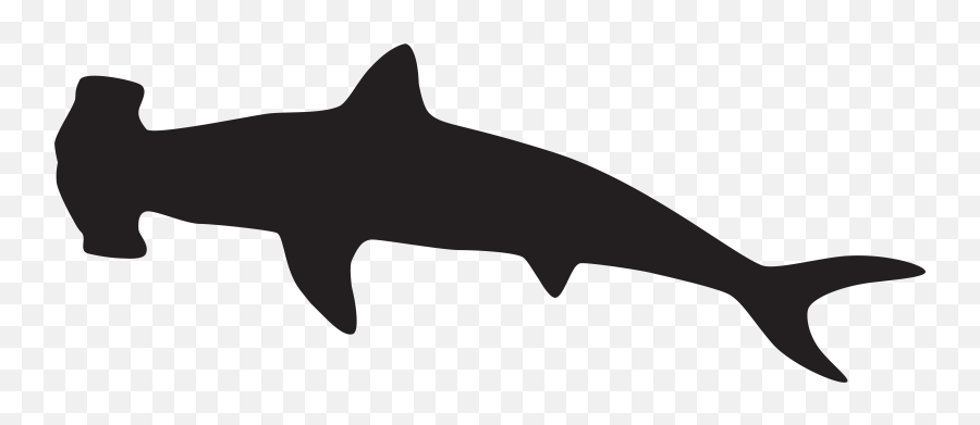 Transparent Hammerhead Shark Silhouette - Hammerhead Shark Clip Art Emoji,Shark Emoji