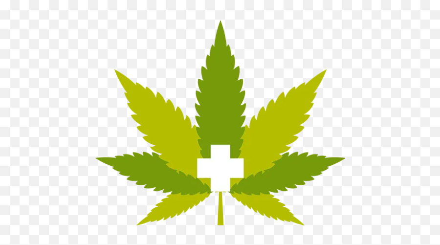 Greenpharms Arizona U2013 Medical Marijuana From Mesa To Flagstaff - Vector Weed Plant Png Emoji,Leaf Emoticon