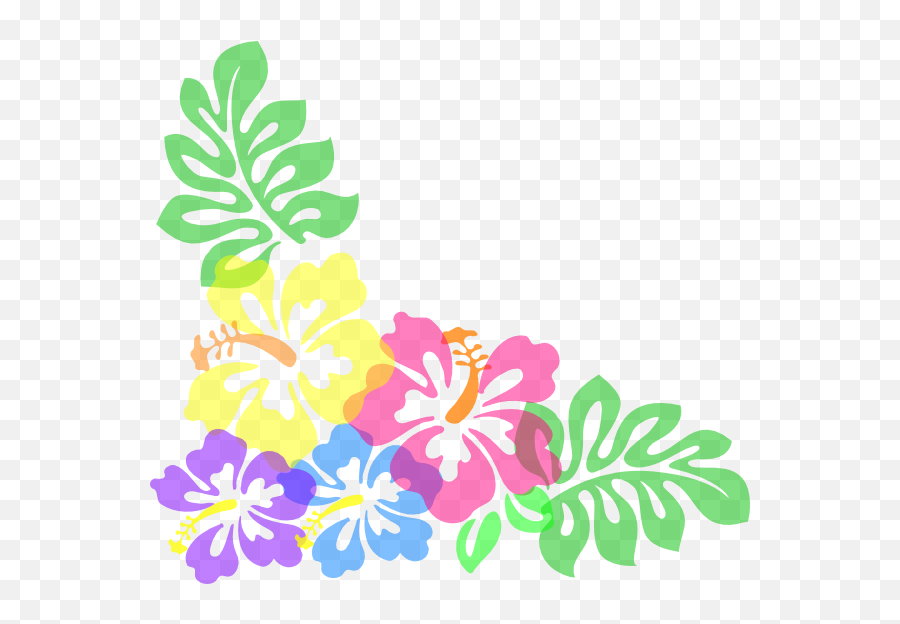 Free Hibiscus Border Png Download Free Clip Art Free Clip - Hibiscus Clip Art Emoji,Hibiscus Emoji