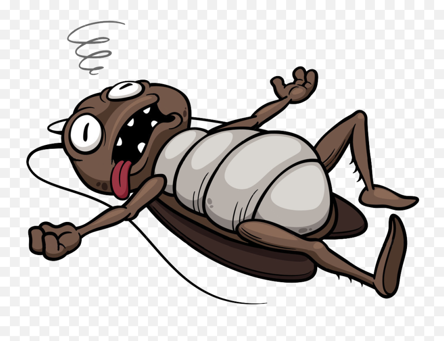 Download Dead Cockroach Cartoon Png - Dead Cockroach Cartoon Emoji,Cockroach Emoji