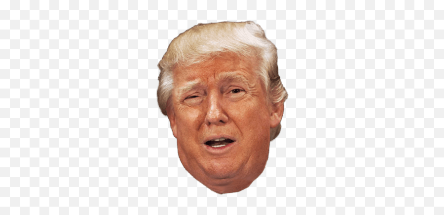 Donald Trump Head Wtf Png - Transparent Trump Head Png Emoji,Donald Trump Emoji