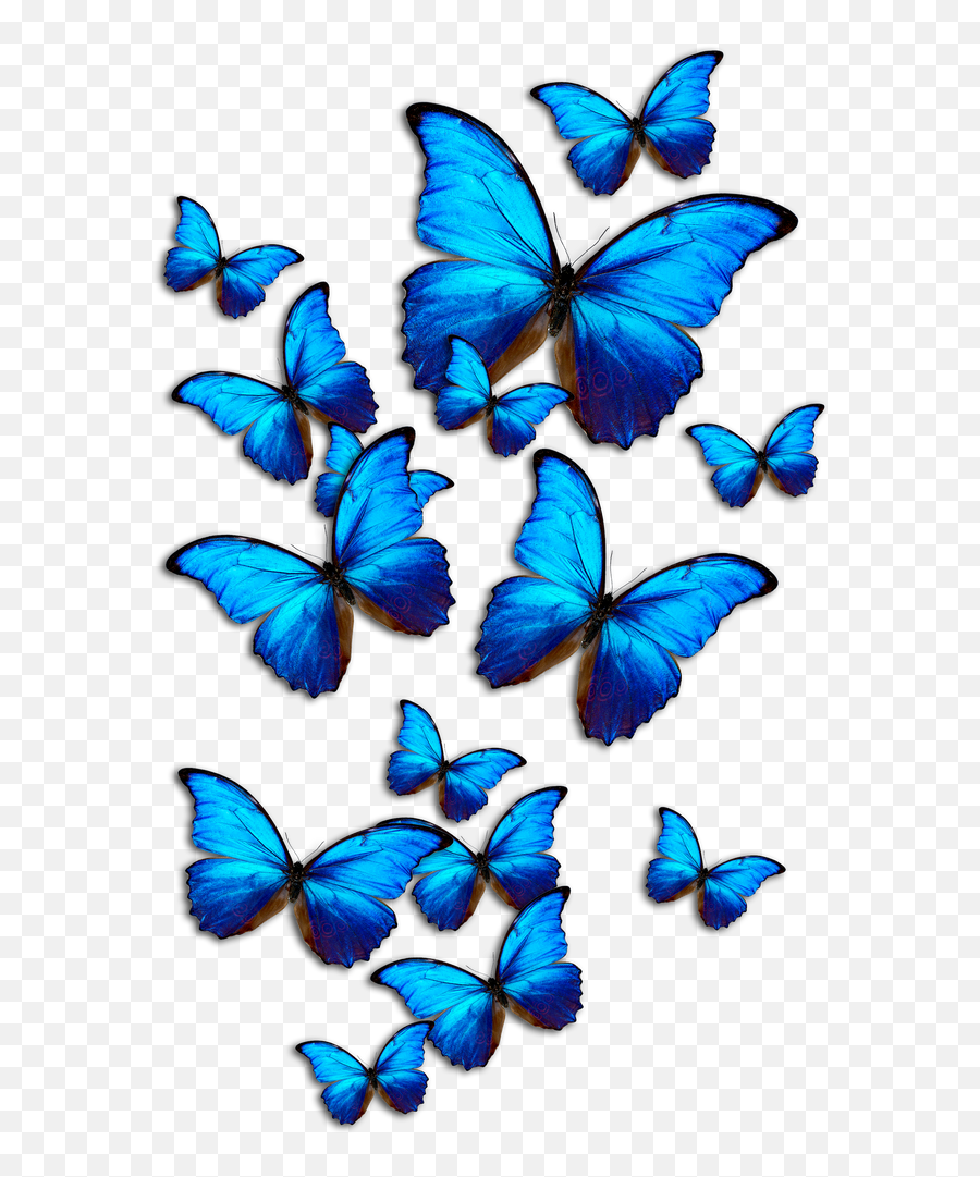 Blue Butterflies All Over Graphic Tee - Blue Butterfly Emoji,Butterfly Emoji Apple