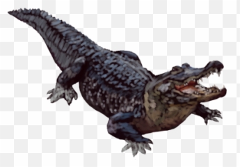 Free Png Images Free Vectors Graphics Psd Files - Alligator Transparent Background Emoji,Gator Emoji