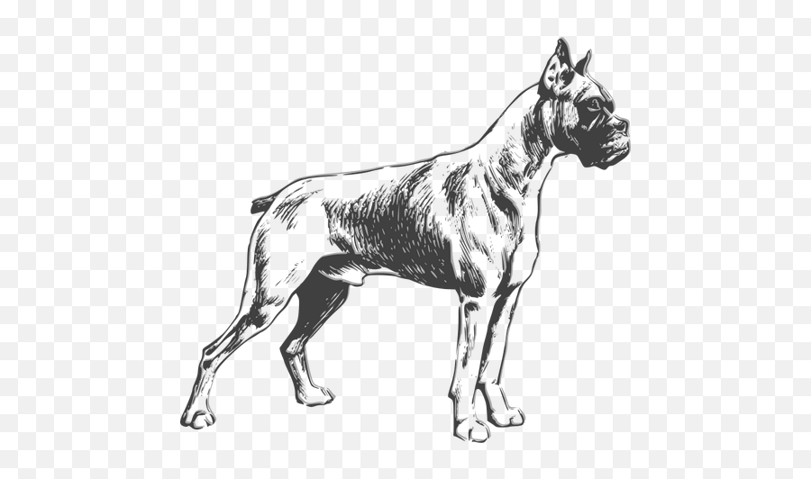 Boxer Dog Vector Drawing - Boxer Dog Sketch Vector Emoji,Dog House Emoji